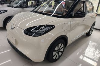 五菱汽车 五菱缤果 2025款 333km 悦享款