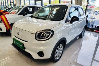 零跑汽车 零跑T03 2022款 玛瑙版