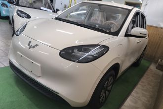 五菱汽车 五菱缤果 2025款 333km 悦享款