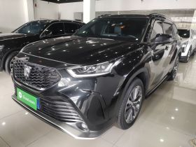 丰田 皇冠陆放 2024款 2.5L HEV四驱尊贵版