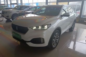 魏牌 VV6 2019款 2.0T 两驱超豪型 国VI