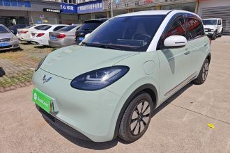 五菱汽车 五菱缤果 2023款 333km 悦享款