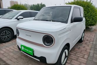 吉利银河 2023款 熊猫mini 200km 耐力熊