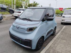 五菱汽车 五菱NanoEV 2021款 热爱款