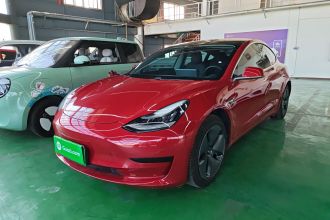 特斯拉 Model 3 2020款 改款 标准续航后驱升级版