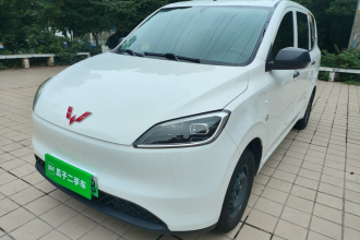 五菱汽车 五菱宏光新能源 2024款 纯电版 300KM 实用型