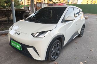 比亚迪 海鸥 2024款 荣耀版 305km 自由版