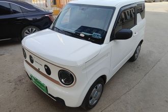 吉利银河 2024款 熊猫mini 200km 耐力熊