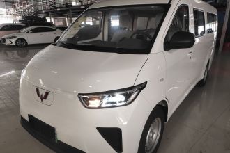 五菱汽车 五菱扬光 2024款 300KM 舒适型客车版 75kW