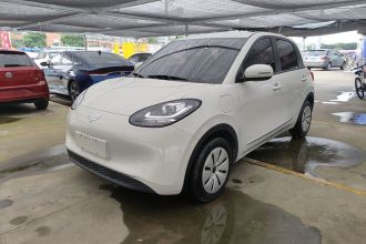 五菱汽车 五菱缤果 2024款 203km 轻享款