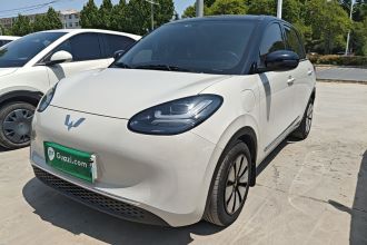 五菱汽车 五菱缤果 2024款 333km 悦享款