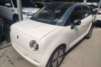 欧拉黑猫 2021款 301km 基础型