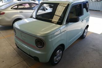 吉利银河 2024款 熊猫mini 200km 耐力熊