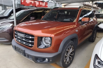 哈弗大狗 2021款 1.5T DCT两驱边牧-旺财版