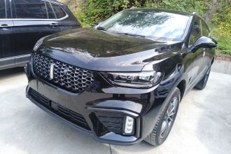 魏牌 VV5 2020款 1.5T 两驱智先锋