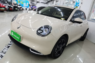 欧拉好猫 2024款 401km 豪华型