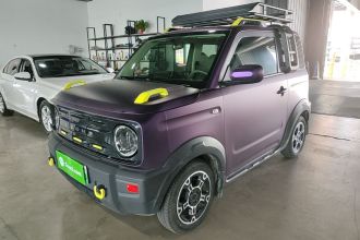 吉利银河 2024款 200km 熊猫骑士