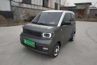 五菱汽车 宏光MINIEV 2021款 马卡龙时尚款 磷酸铁锂