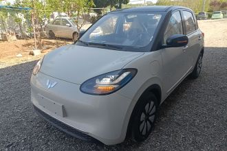 五菱汽车 五菱缤果 2025款 333km 灵犀互联款