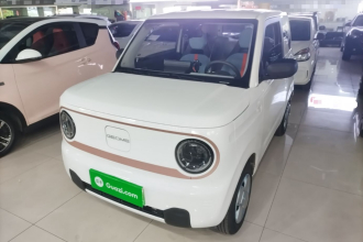 吉利银河 2024款 熊猫mini 200km 耐力熊