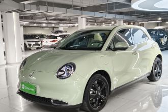 欧拉好猫 2024款 401km 豪华型