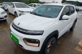 东风纳米 纳米BOX 2022款 追风版 331KM 标准型