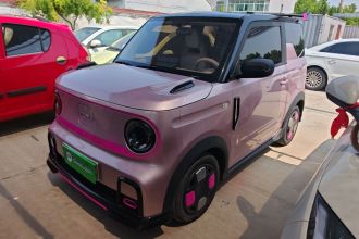 吉利银河 2024款 200km 熊猫卡丁