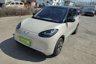 五菱汽车 五菱缤果 2024款 333km 悦享款