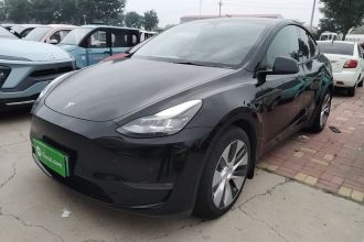 特斯拉 Model Y 2021款 标准续航后驱版