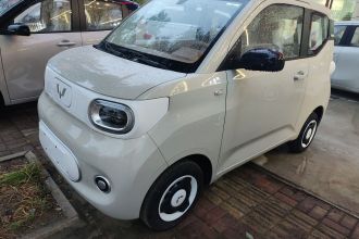 五菱汽车 宏光MINIEV 2024款 第三代 215km 青春版