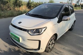 思皓 花仙子 2021款 302km 豪华型 30.2kWh