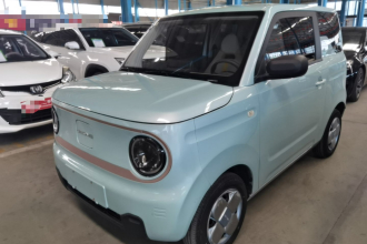 吉利银河 2023款 熊猫mini 200km 耐力熊