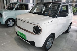 吉利银河 2023款 熊猫mini 200km 耐力熊