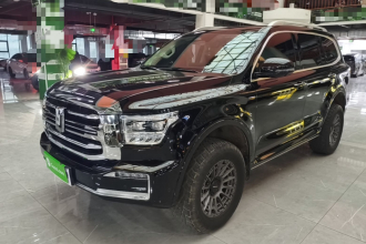 坦克500新能源 2023款 Hi4-T