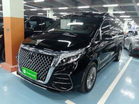雅升汽车 雅升V-Class 2021款 2.0T 艾维士·梵登