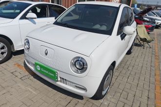 欧拉黑猫 2022款 改款 301km 萌宠版 磷酸铁锂