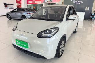 五菱汽车 五菱缤果 2023款 203km 轻享款