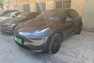 特斯拉 Model Y 2024款 后轮驱动版