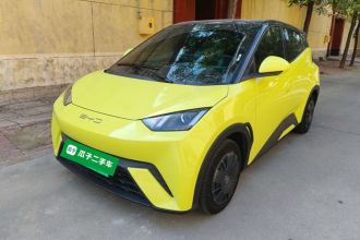 比亚迪 海鸥 2024款 荣耀版 305km 活力版