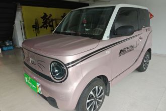 吉利银河 2023款 熊猫mini 200km 耐力熊
