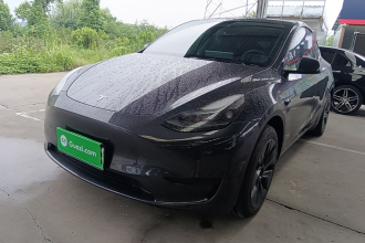 特斯拉 Model Y 2024款 后轮驱动版