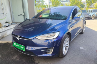特斯拉 Model X 2019款 长续航版