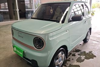 吉利银河 2024款 熊猫mini 200km 耐力熊