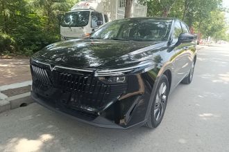 启辰大V DD-i 2023款 110km iE版