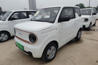 吉利银河 2024款 熊猫mini 200km 耐力熊