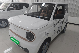 吉利银河 2024款 熊猫mini 200km 耐力熊