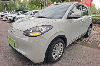 五菱汽车 五菱缤果 2023款 203km 轻享款