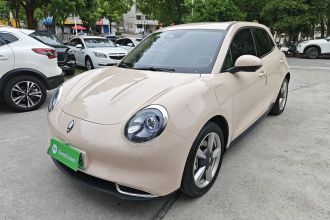 欧拉好猫 2023款 401km标准续航 尊荣型 磷酸铁锂