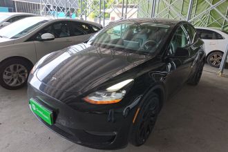 特斯拉 Model Y 2021款 标准续航后驱版