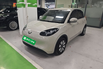 五菱汽车 五菱缤果 2024款 333km 悦享款